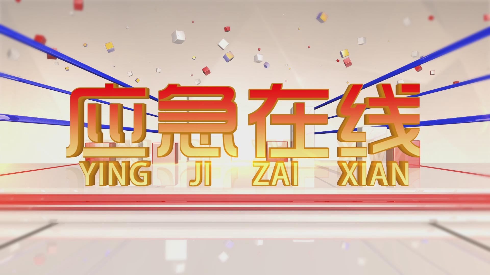 2022131Ցھ